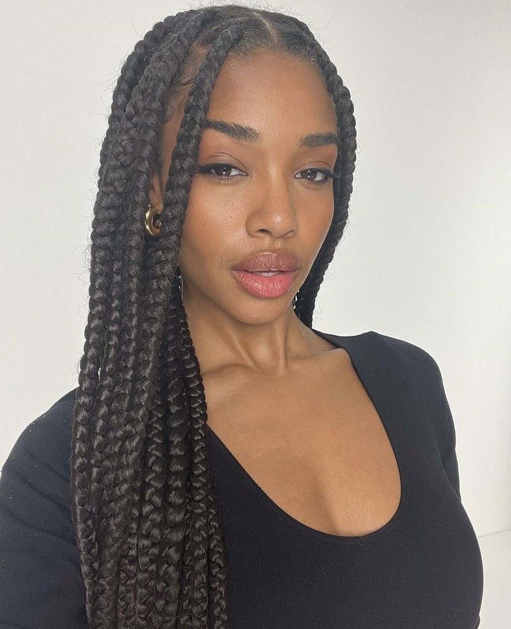 31 Trendsetting Braid Hairstyles for Black Women in 2024 - Get Inspired ...