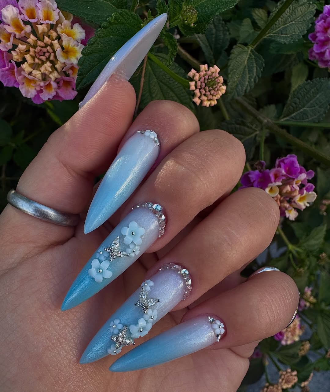 Blue Ombré Stiletto With 3D Flowers And Butterflies