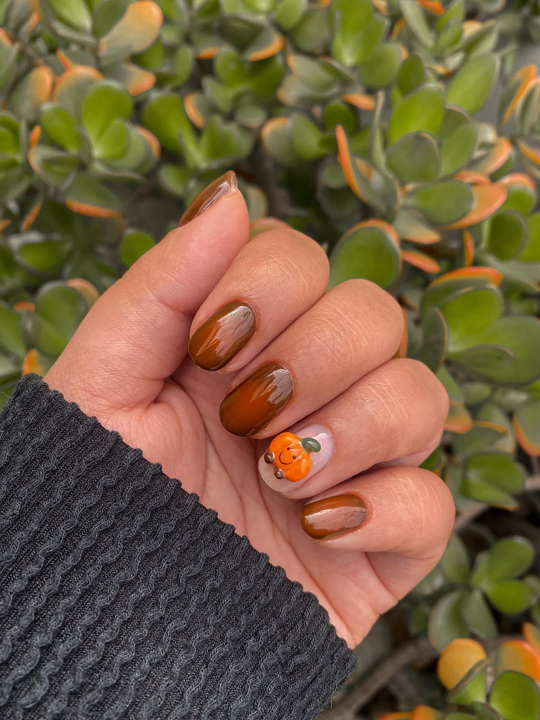 Glossy Spice Brown Short Oval With Pumpkin Accent