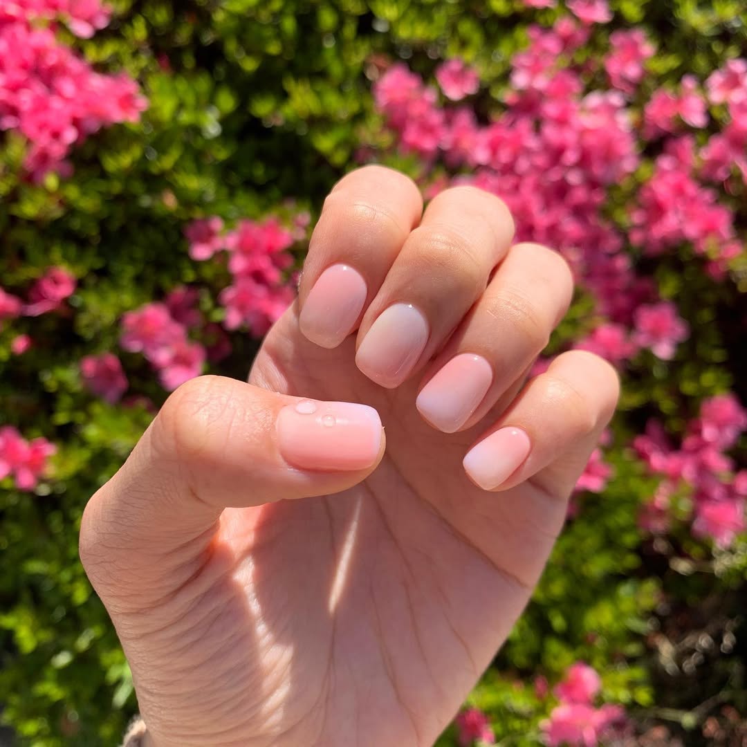 Pink Ombre Jelly Glossy Short Squoval Nails