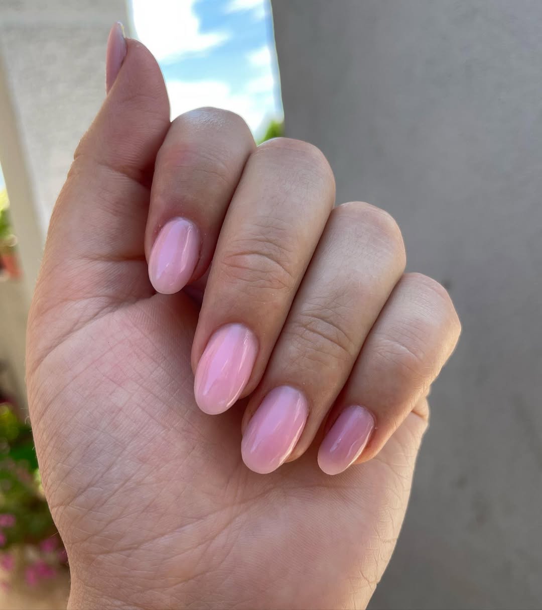 Sheer Pink Short Glossy Oval Nails