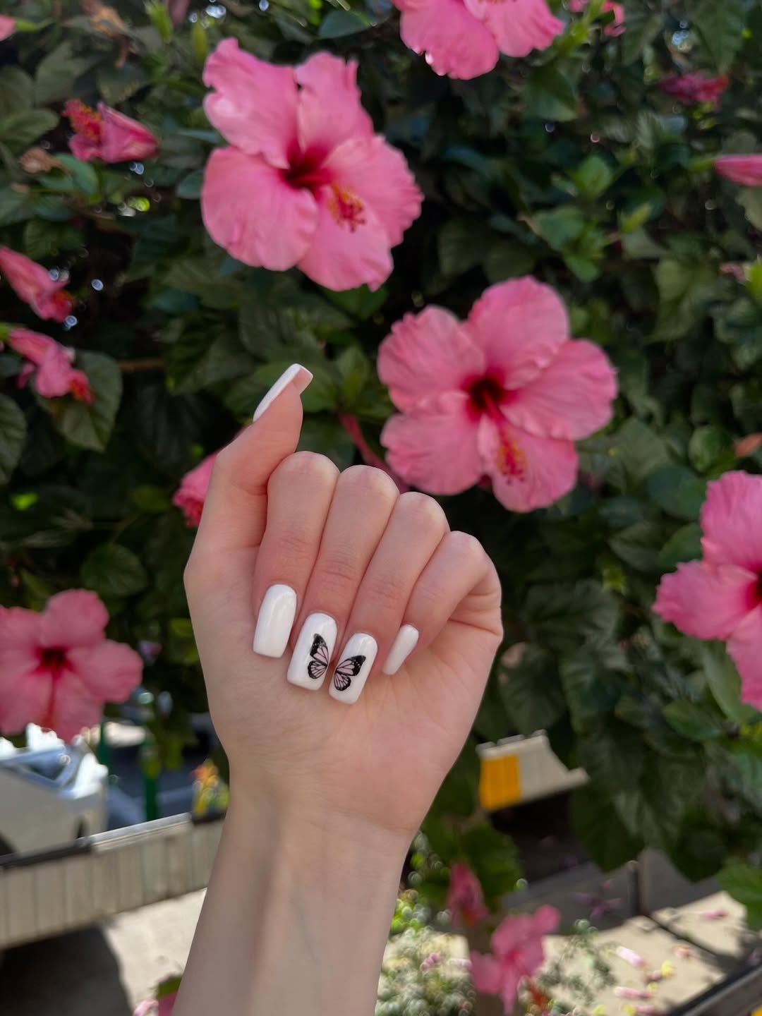 Summer White Butterfly Coffin Nails