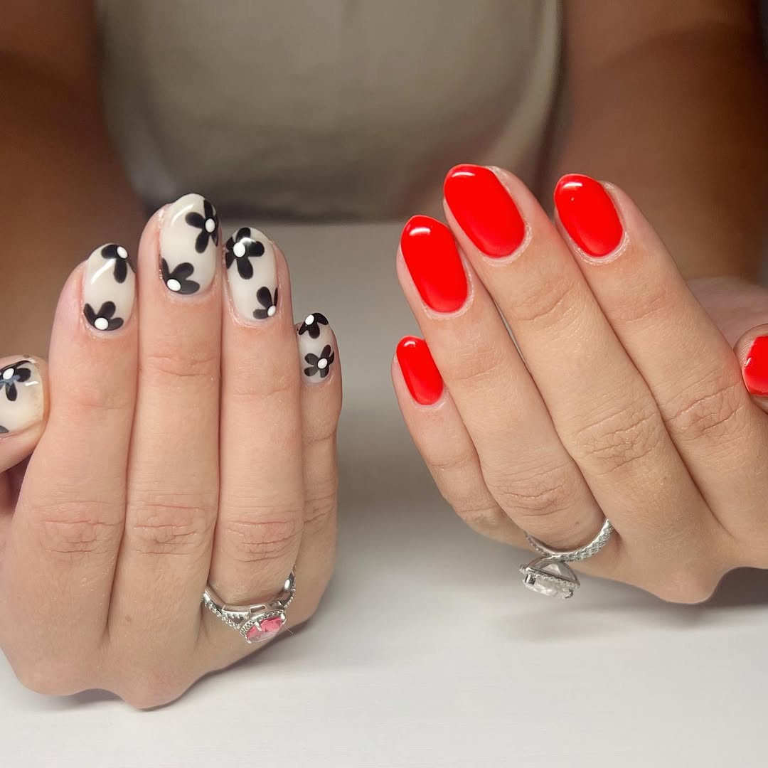 Vivid Red and Black Daisy Art Oval Nails