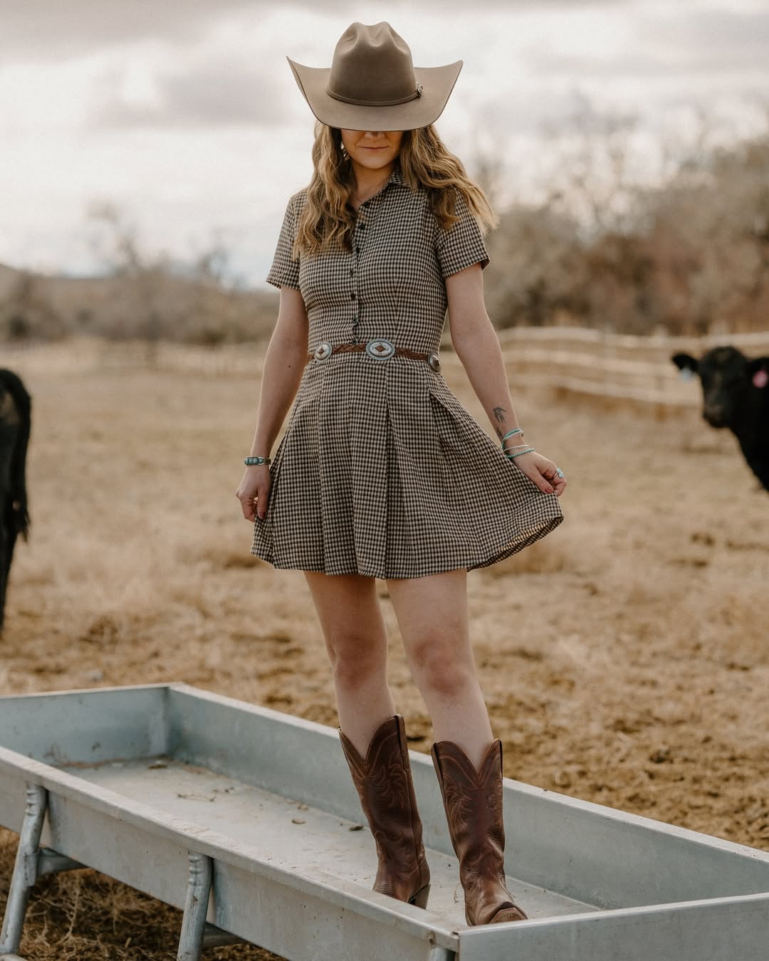 Brown Gingham Western Dress With Boots