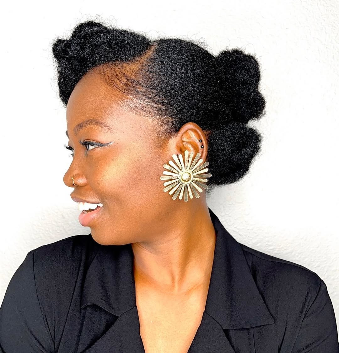 Elegant Coily Double Buns Updo