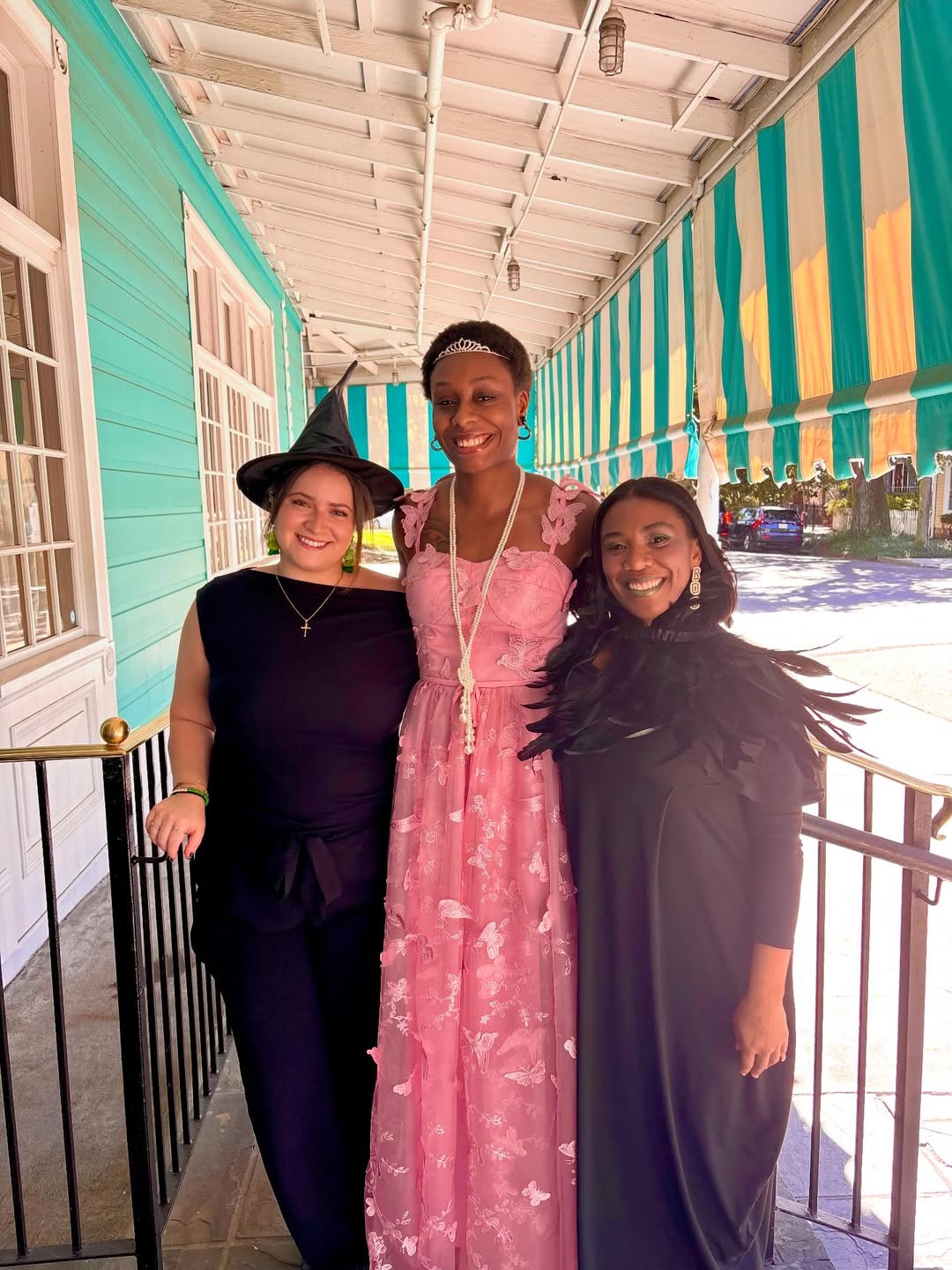 Enchanted Princess, Witch, And Raven Trio Costume