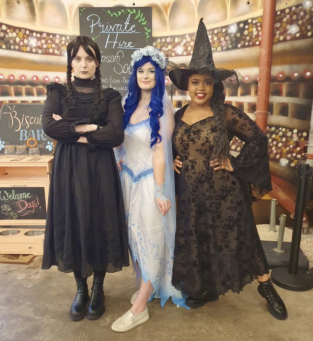 Gothic Witch And Bride Trio Halloween Costumes