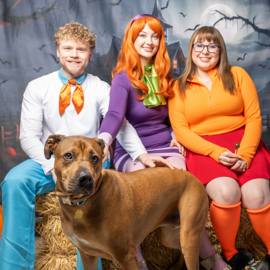 Scooby-Doo Mystery Inc. Group Costume