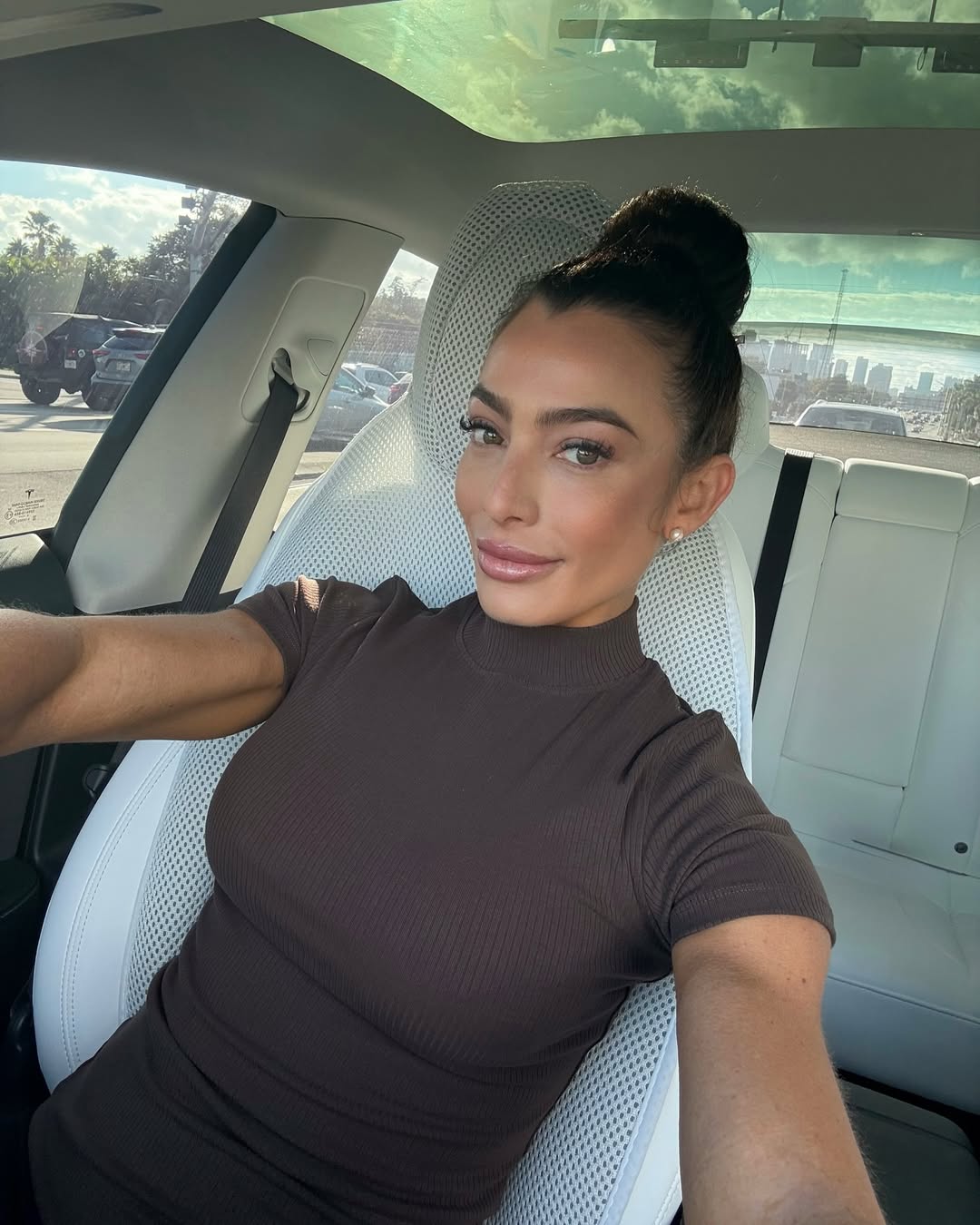 Sleek High Bun With Natural Brunette Hair