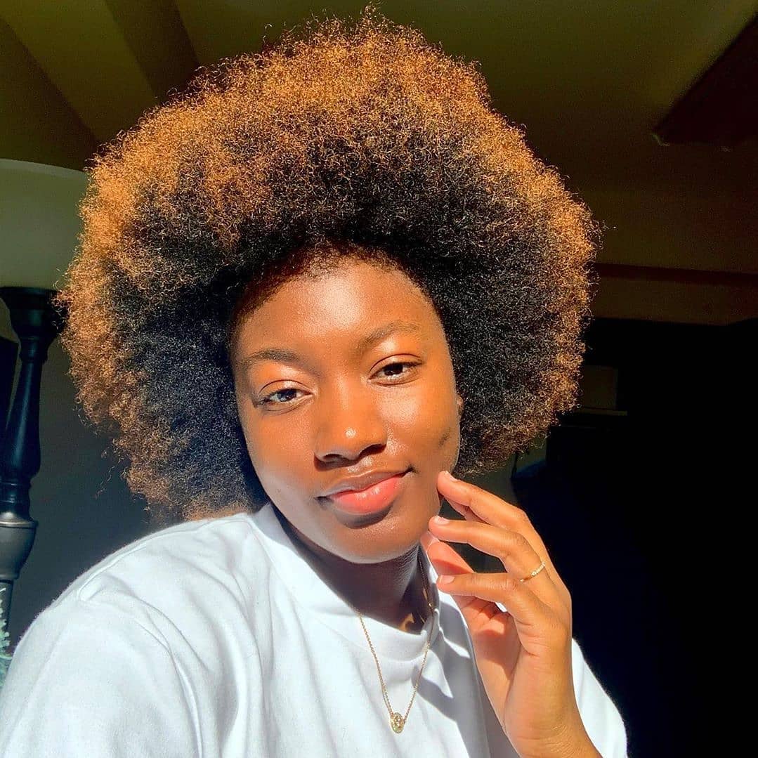 Vibrant Tapered Afro With Golden Brown Highlights