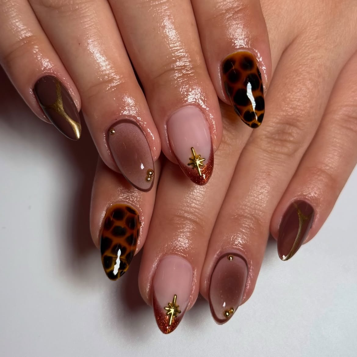 Brown Leopard Print and Star French Tips