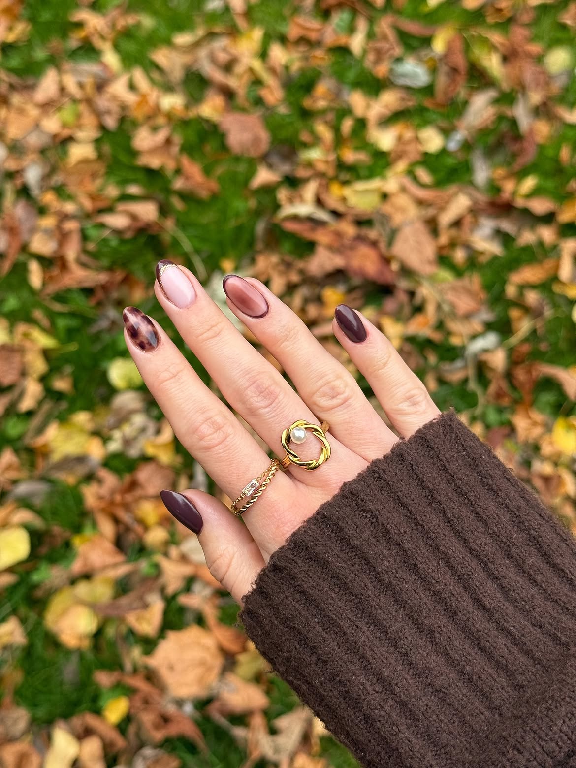 Chic Tortoiseshell and Chocolate Ombre Fall Nails