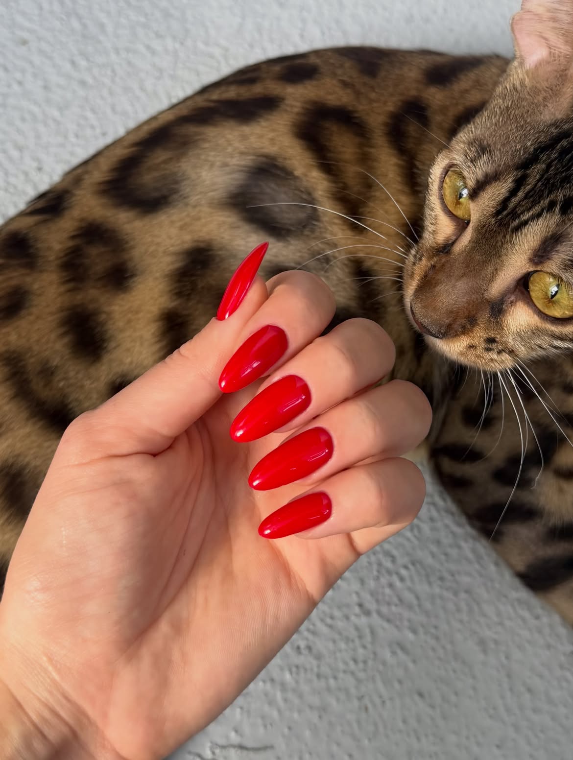 Classic Bold Red Stiletto Nails
