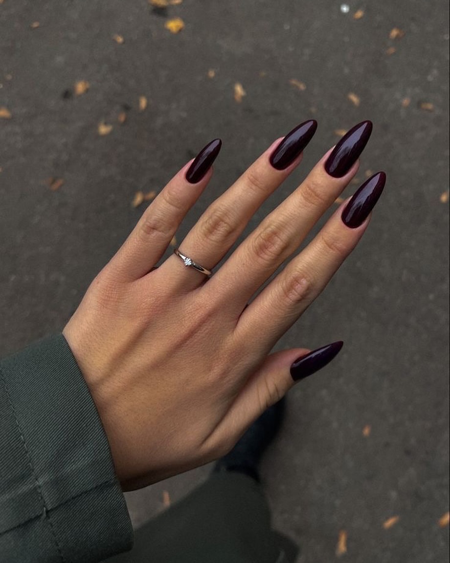 Deep Plum High Gloss Stiletto Nails