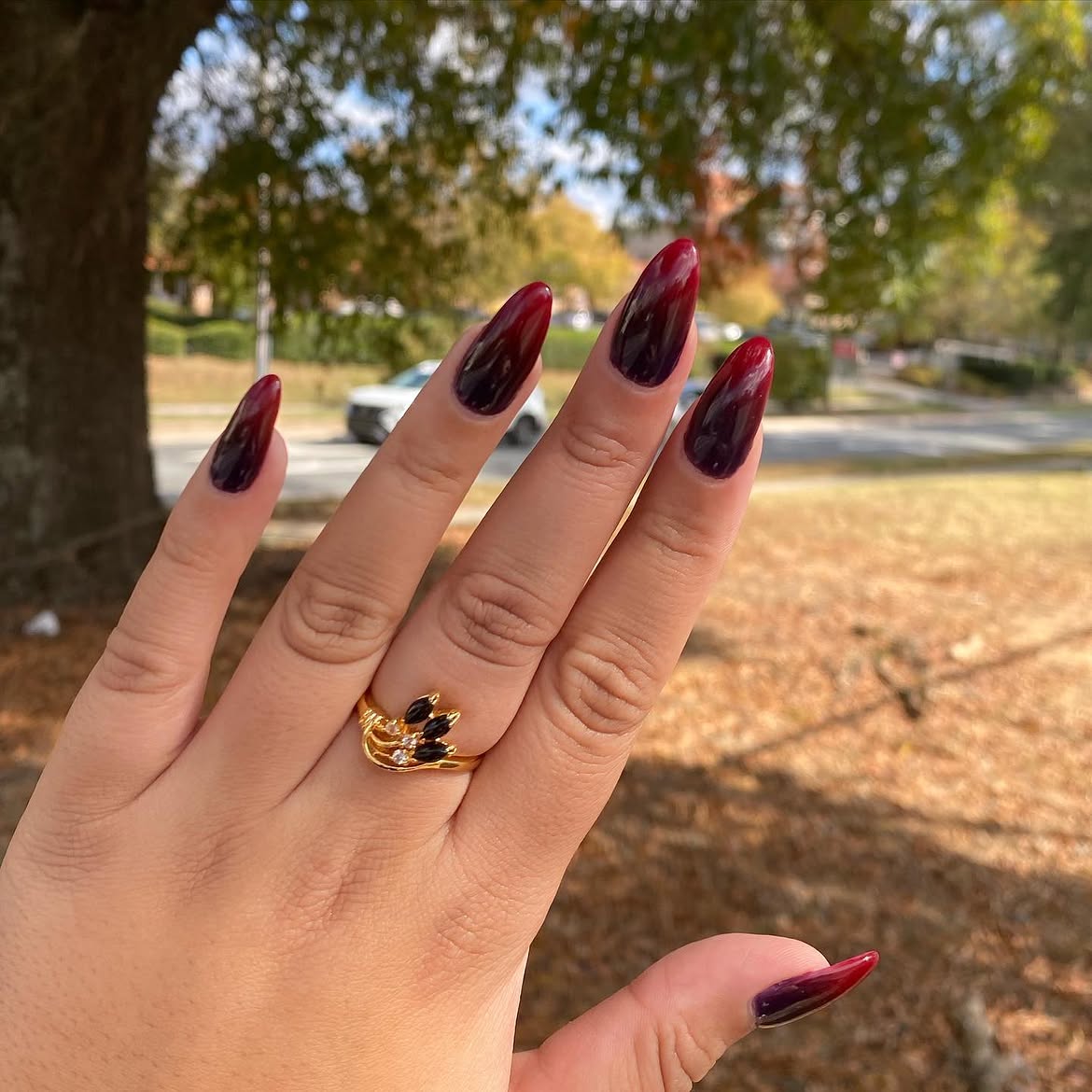 Deep Red To Dark Plum Ombre Stiletto Nails