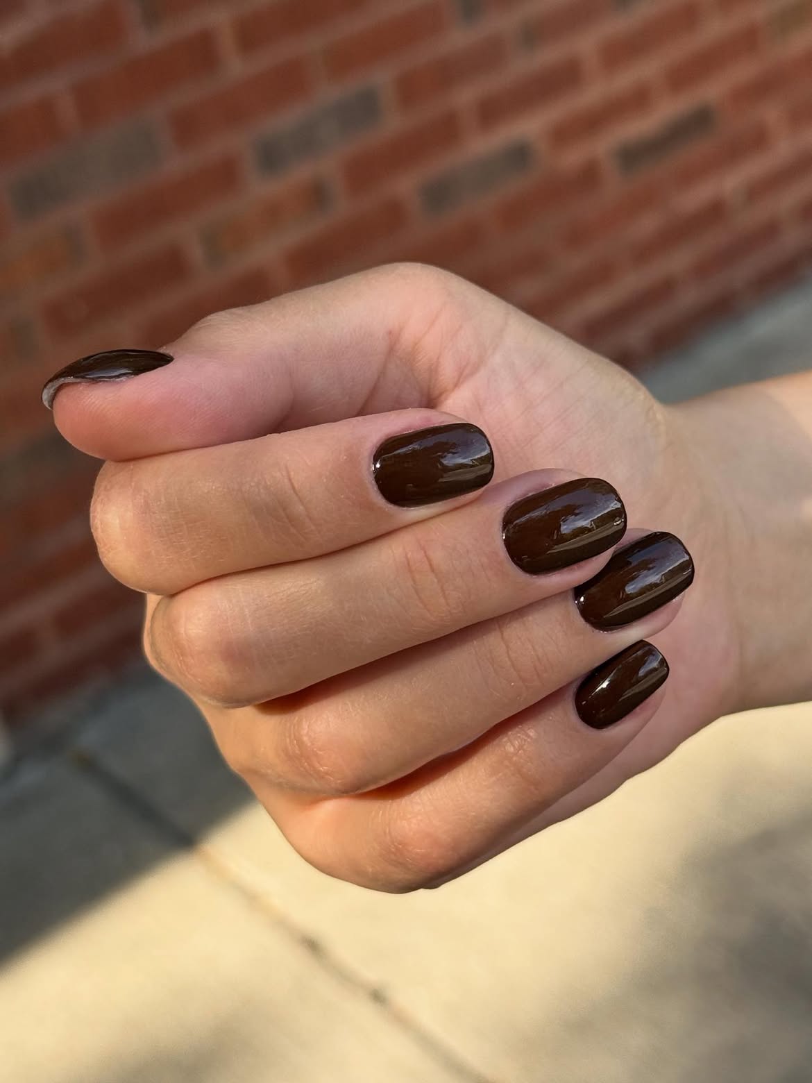 Rich Chocolate Brown High Gloss Nails