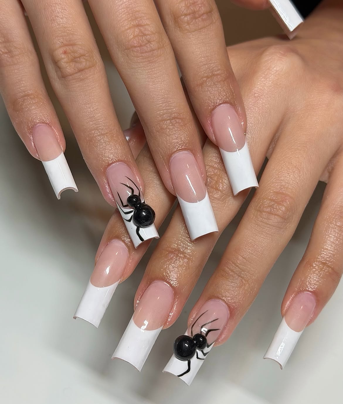 Spooky Spider Black French Tip Coffin Nails
