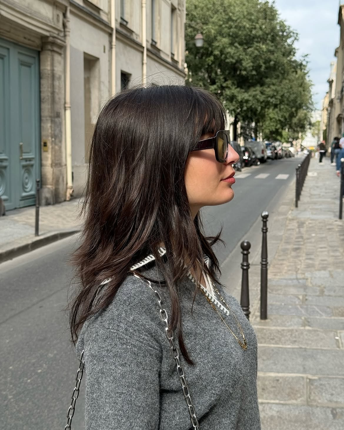 Tousled Dark Brunette Shag With Wispy Bangs