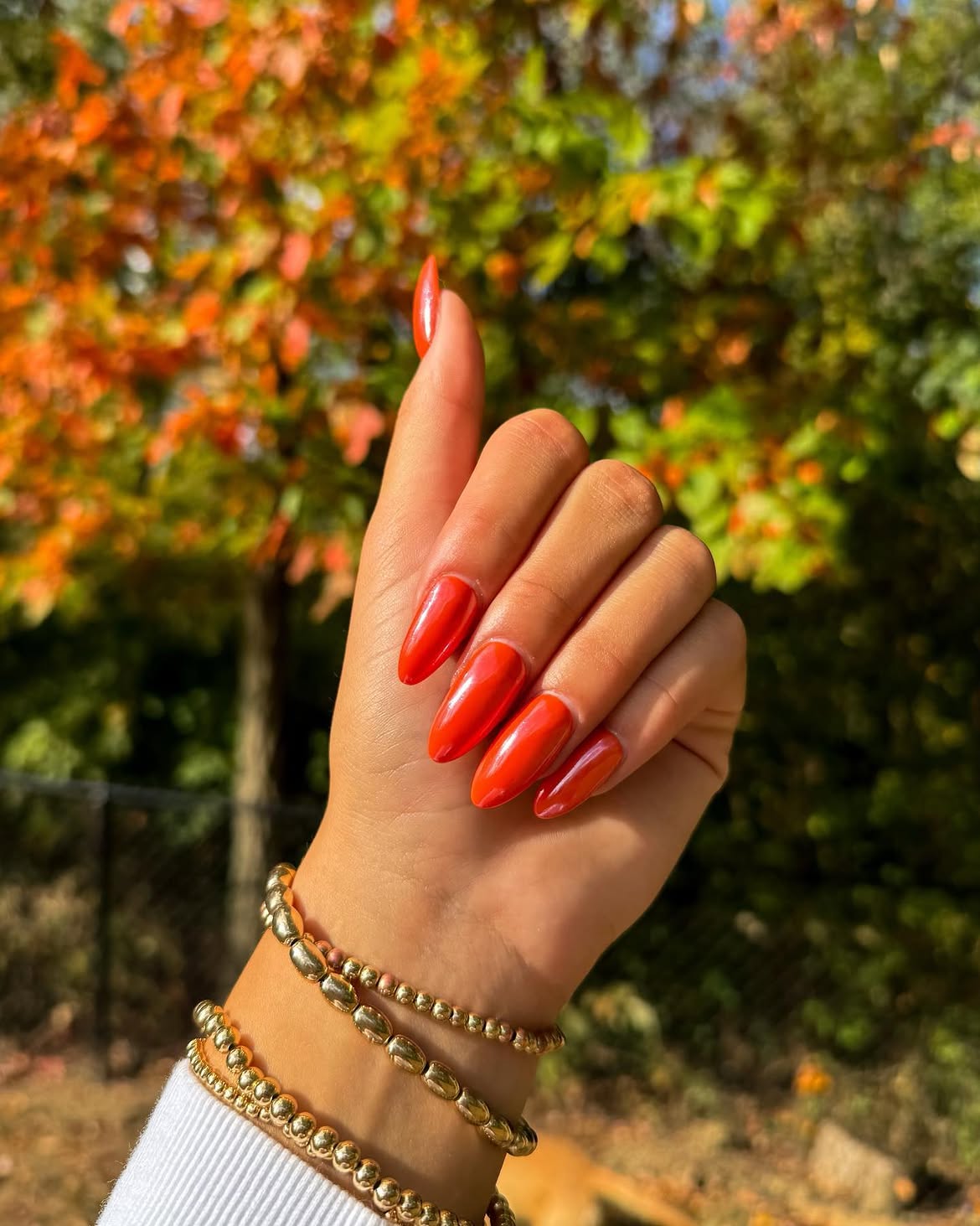 Vibrant Coral Orange High Gloss Almond Nails