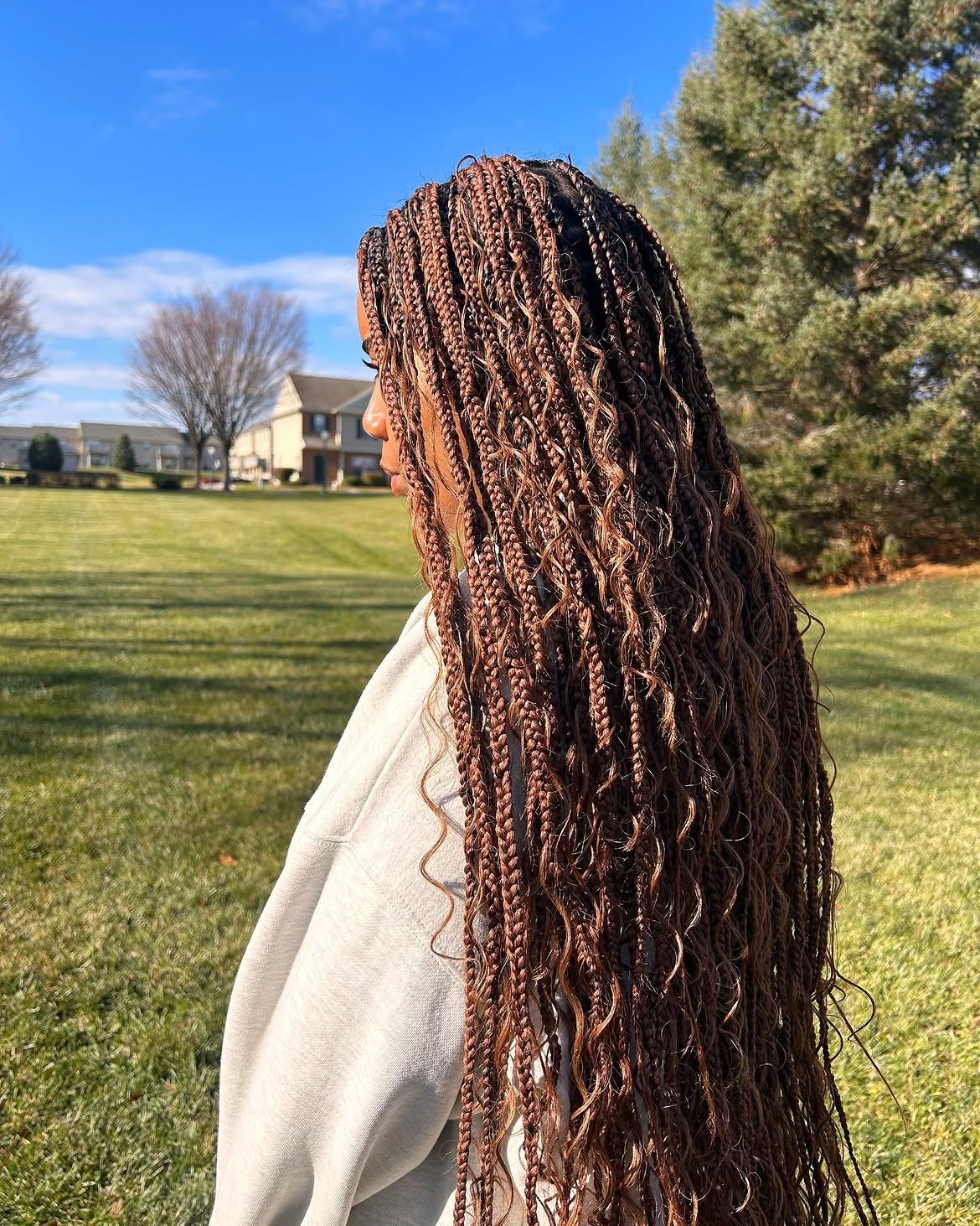 Wavy End Box Braids With Caramel Highlights