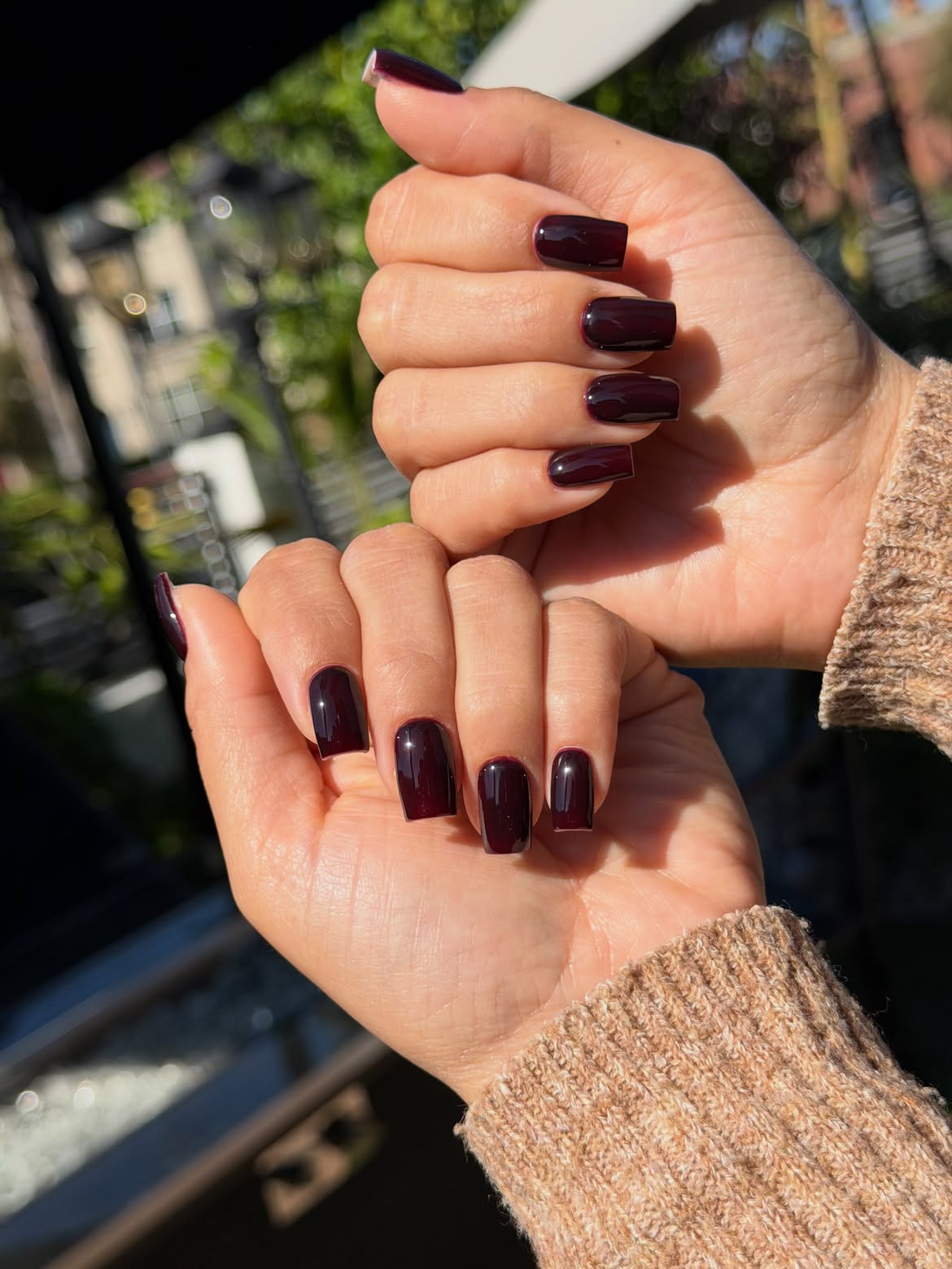Deep Burgundy High Gloss Squoval Nails