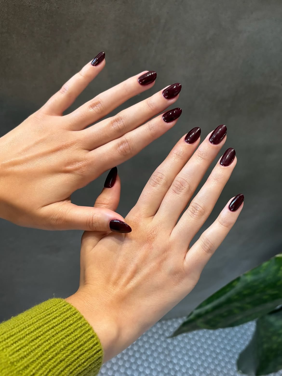 Deep Merlot Almond Glossy Nails