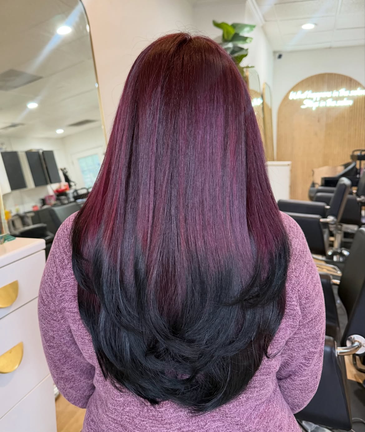 Deep Plum And Black Ombre Layered Hair