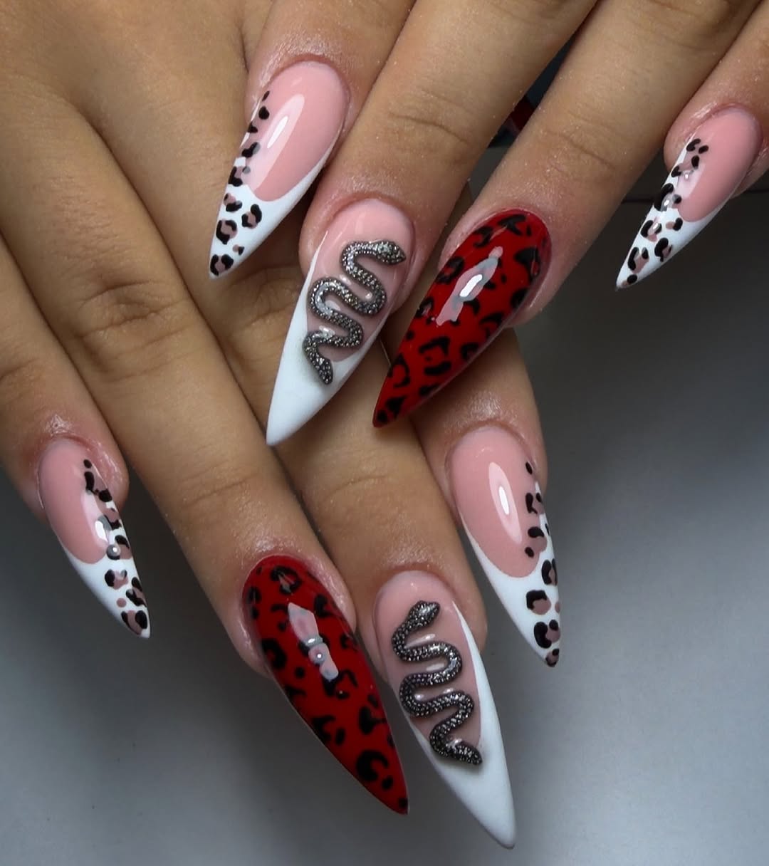 Leopard Snake Stiletto French Tip Nails