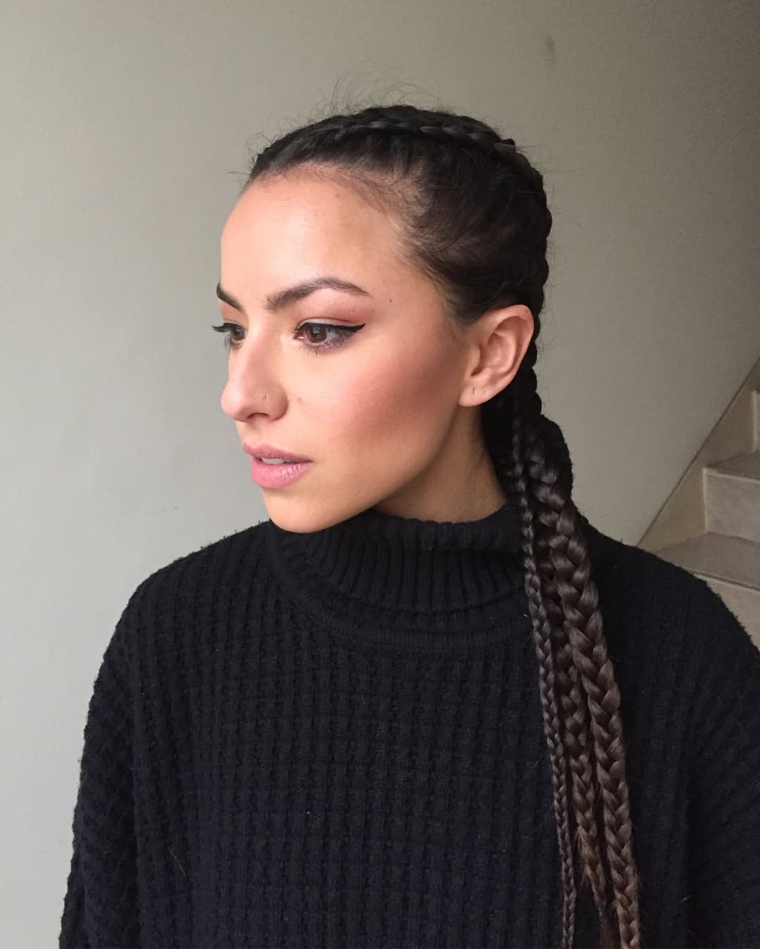 Sleek Double Dutch Braids With Subtle Highlights