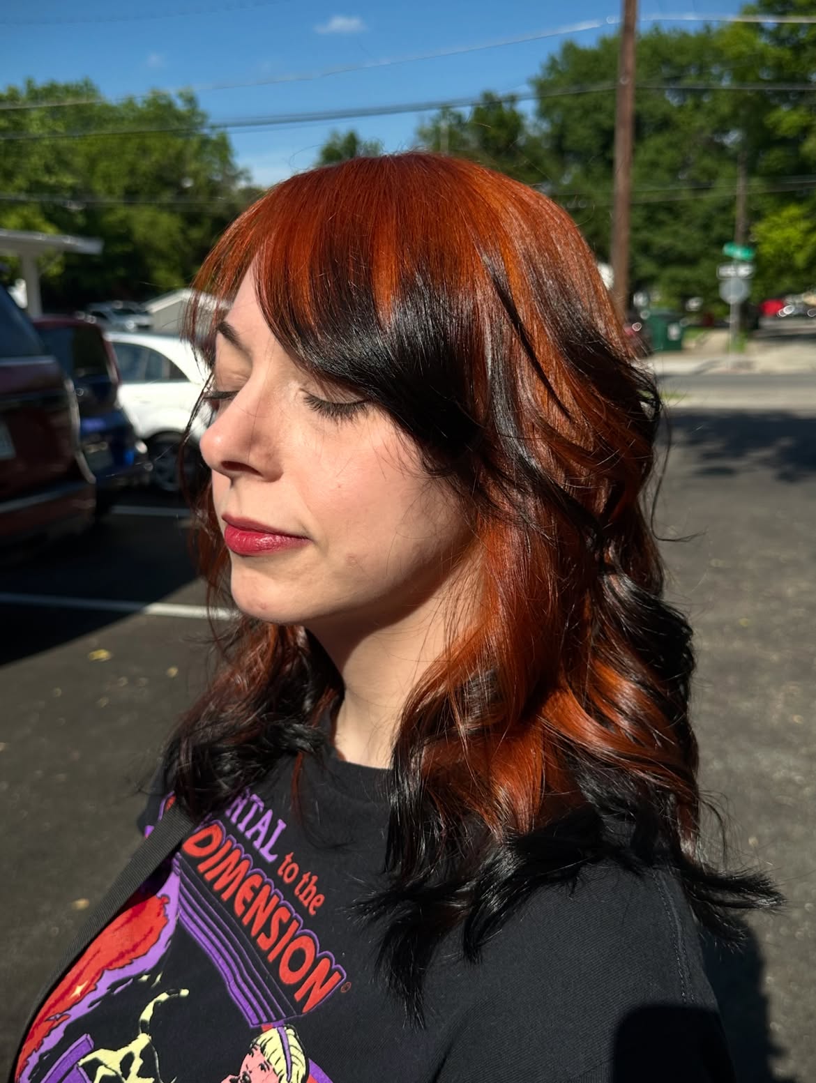 Two Tone Copper And Black Layered Shag
