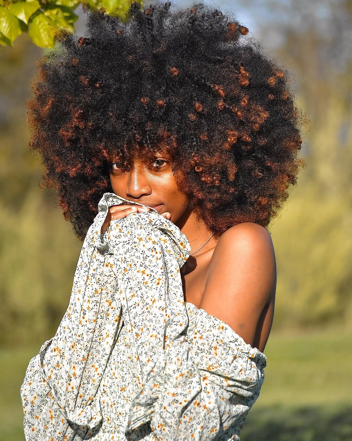 Voluminous Natural Afro With Vibrant Copper Highlights