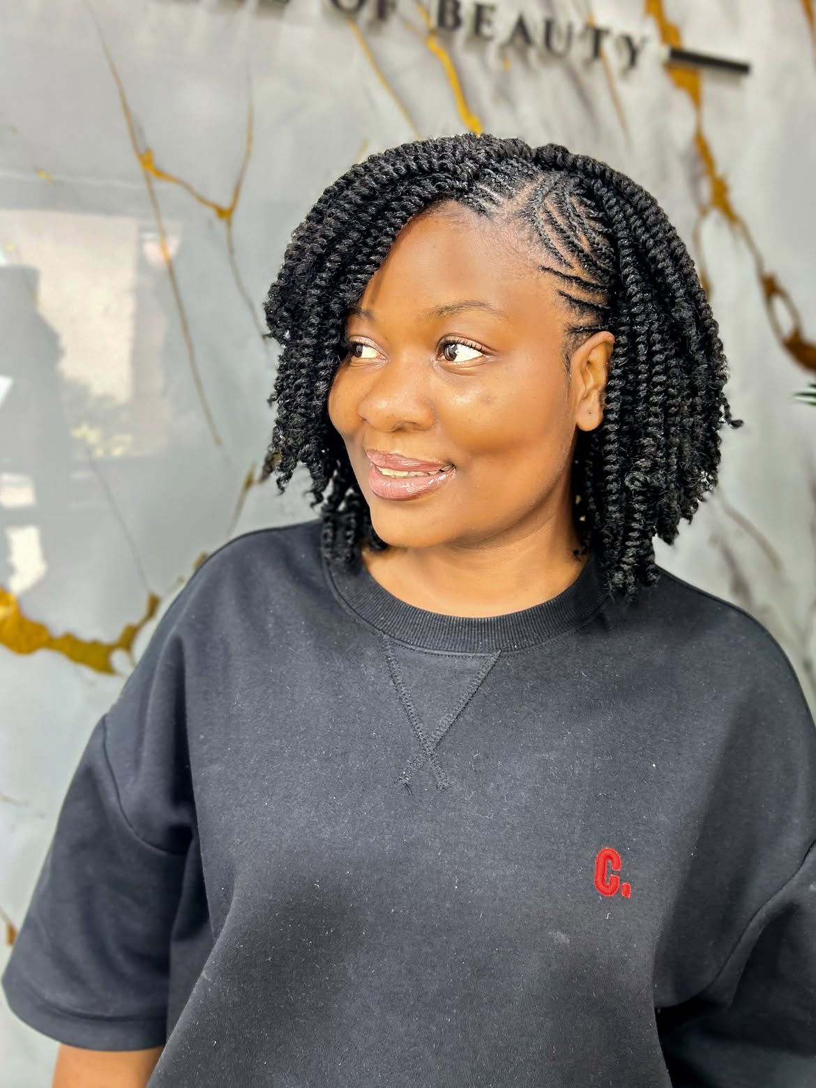Asymmetrical Mini Twists With Side Cornrows