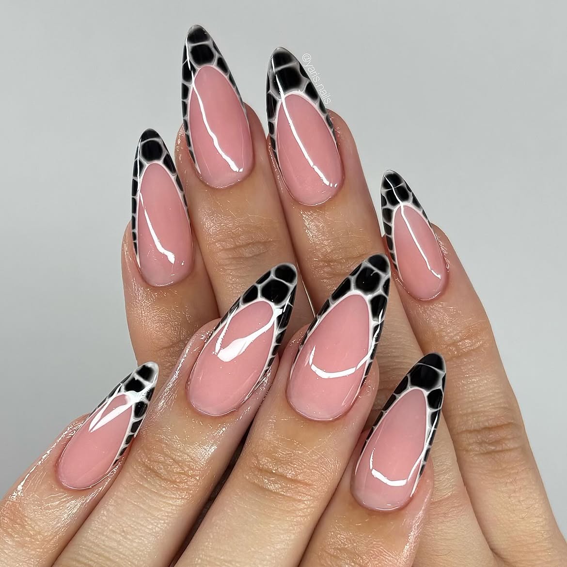 Black Snake Skin French Tip Almond Nails