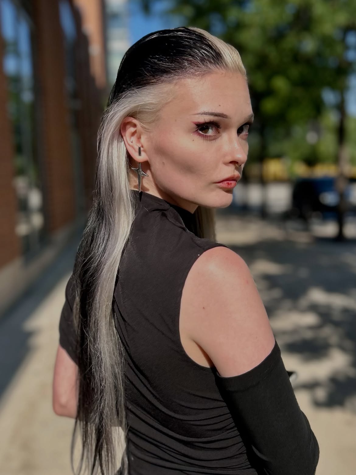 Bold Black And White Skunk Stripe Hair