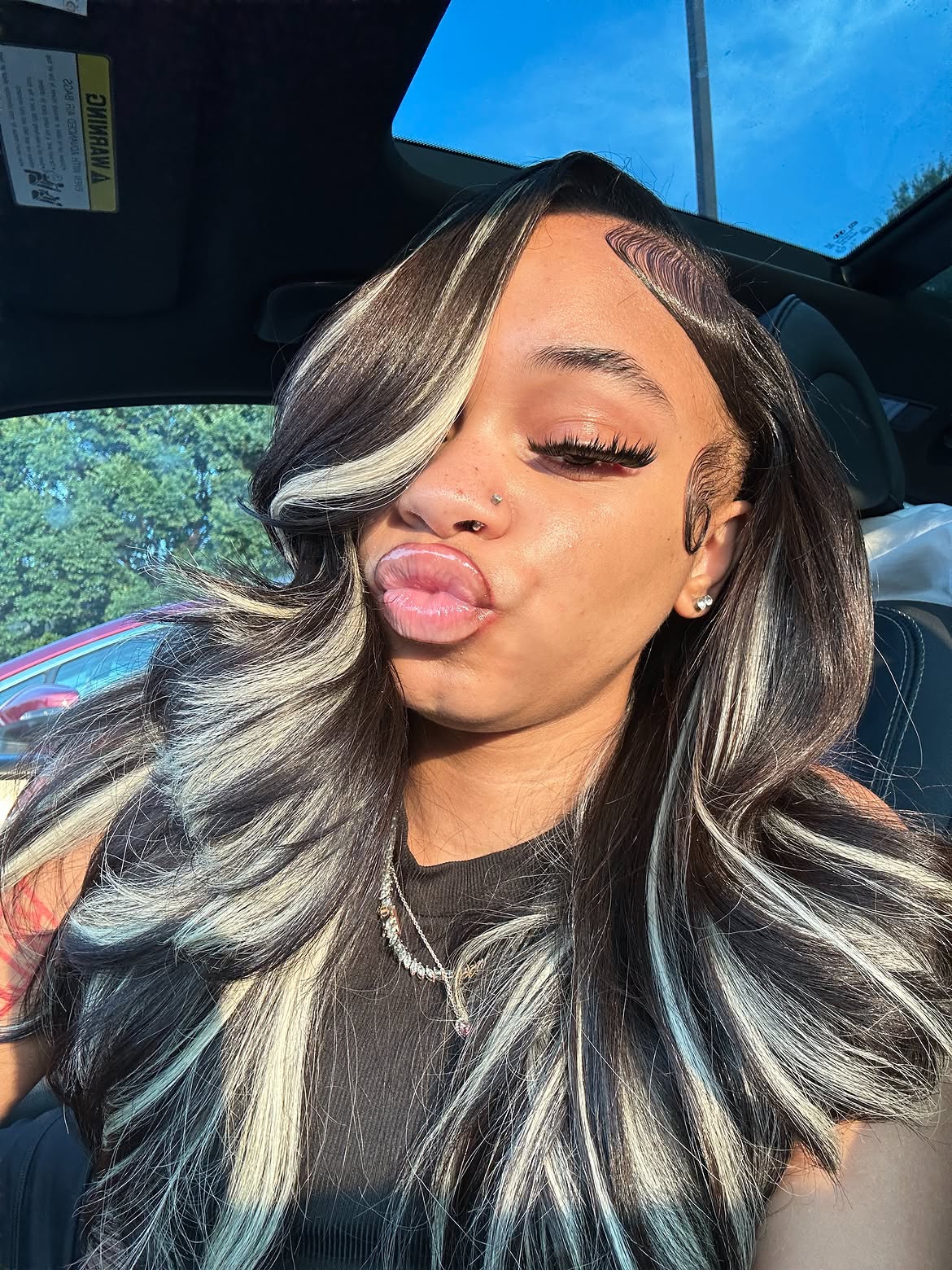 Bold Skunk Stripe With Loose Waves