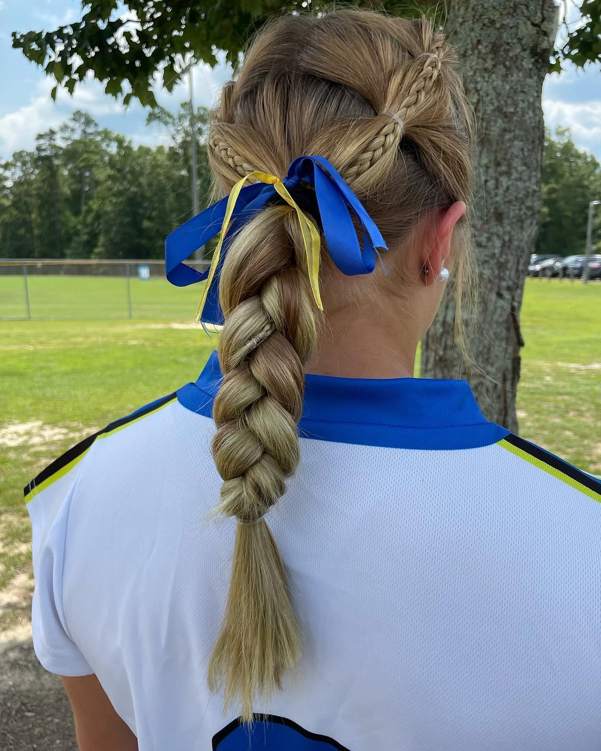Braided Updo With Blue And Yellow Ribbons