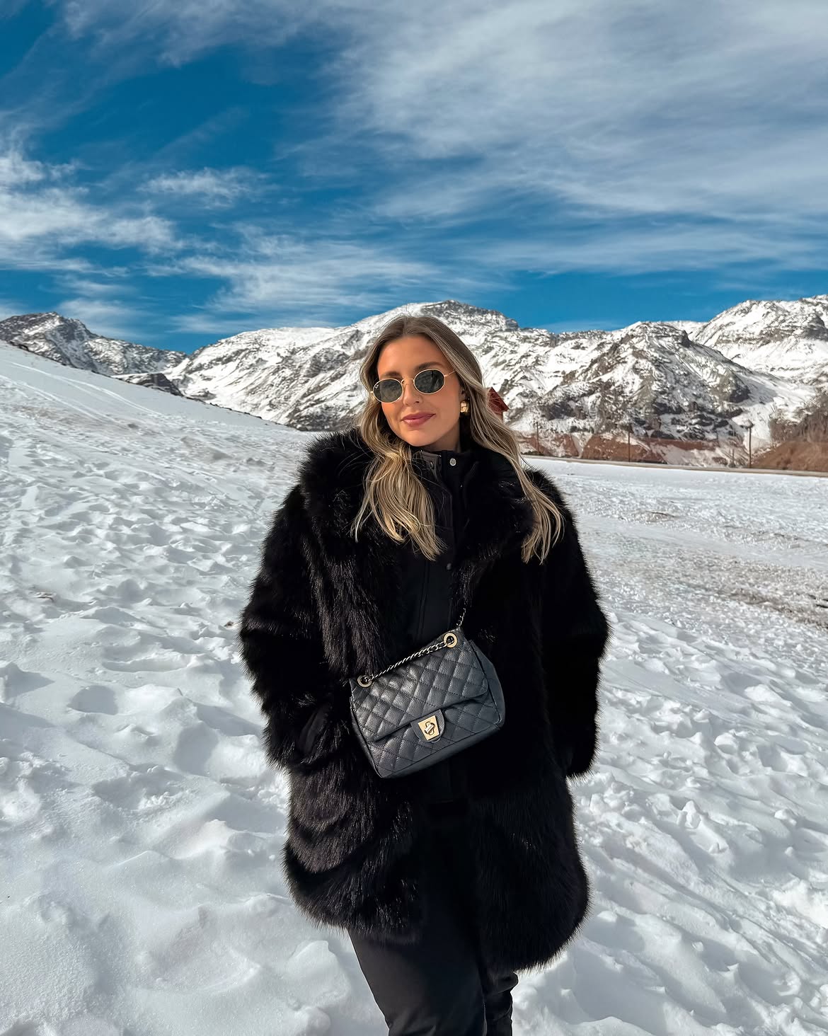 Chic Black Faux Fur Coat and Quilted Bag
