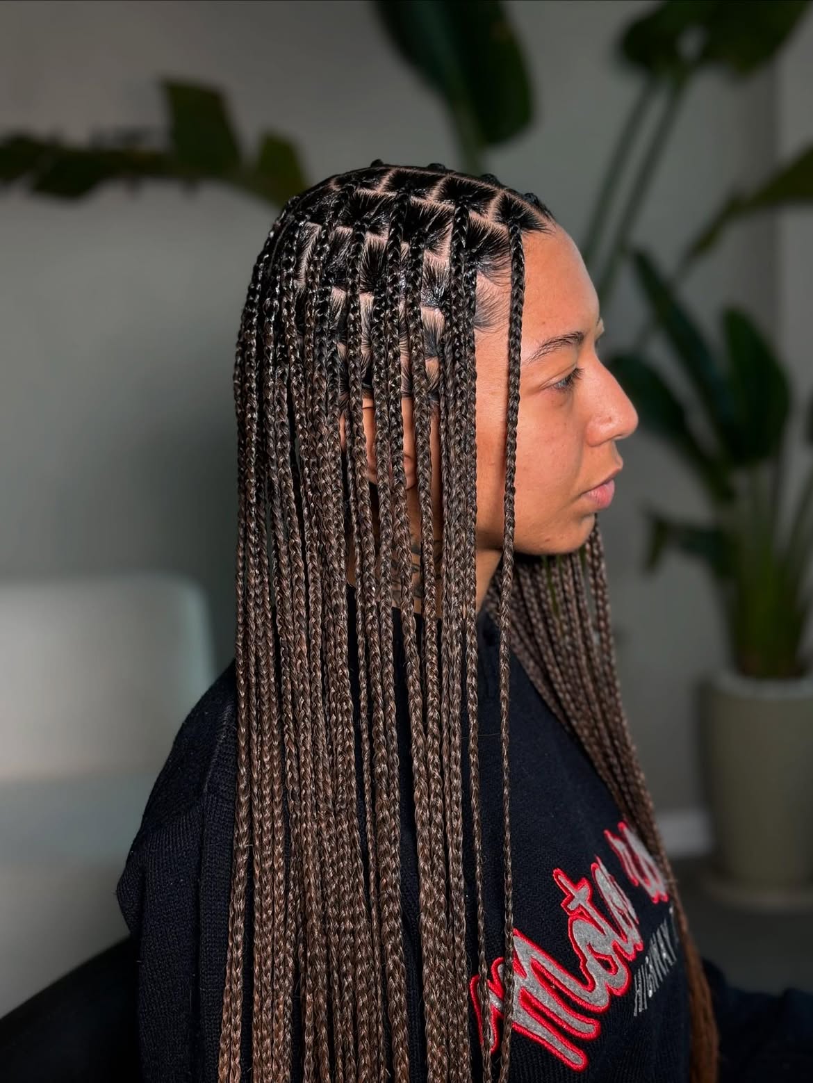 Chic Box Braids With Subtle Honey Highlights