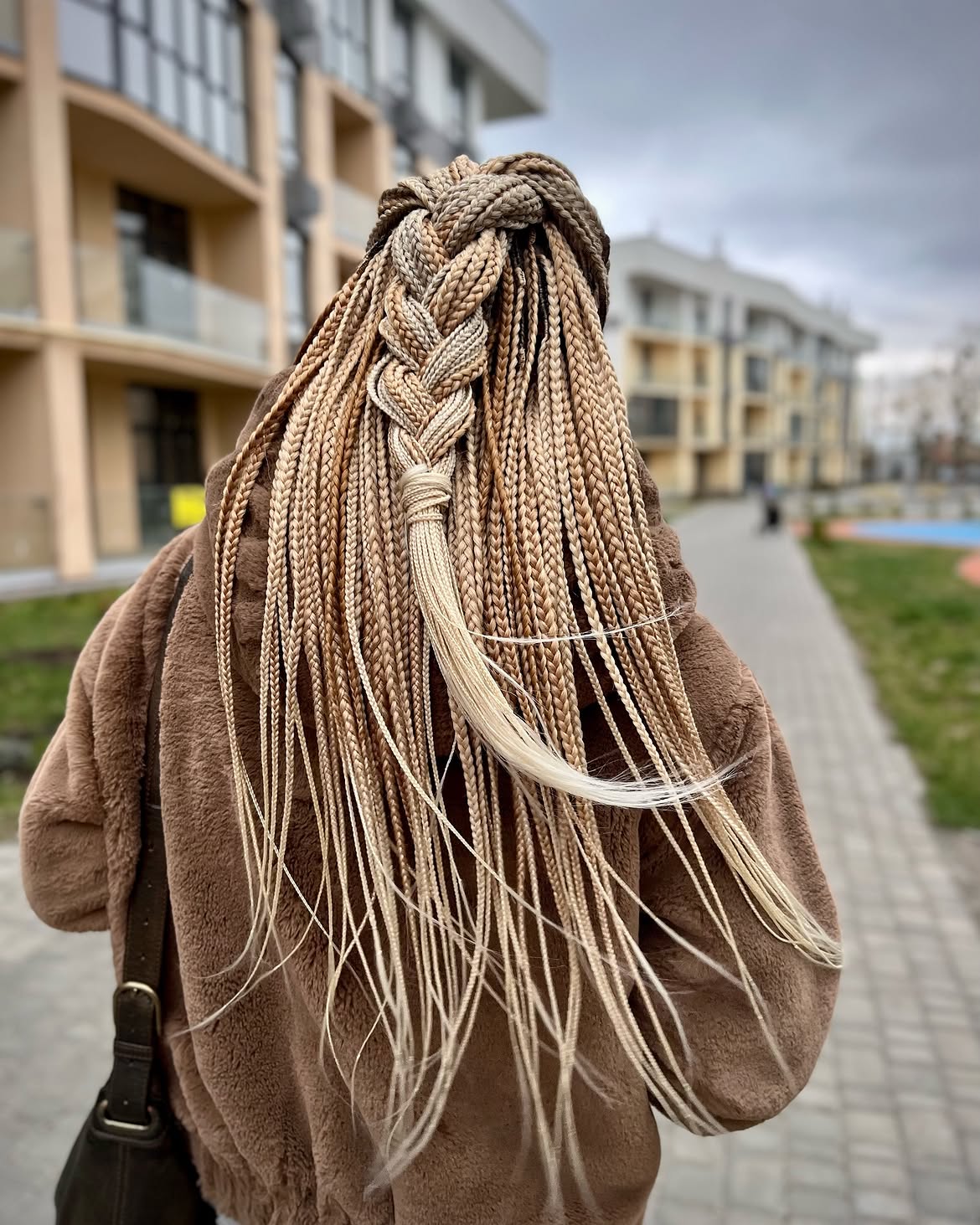 Chunky Braids With Blonde Balayage Blend