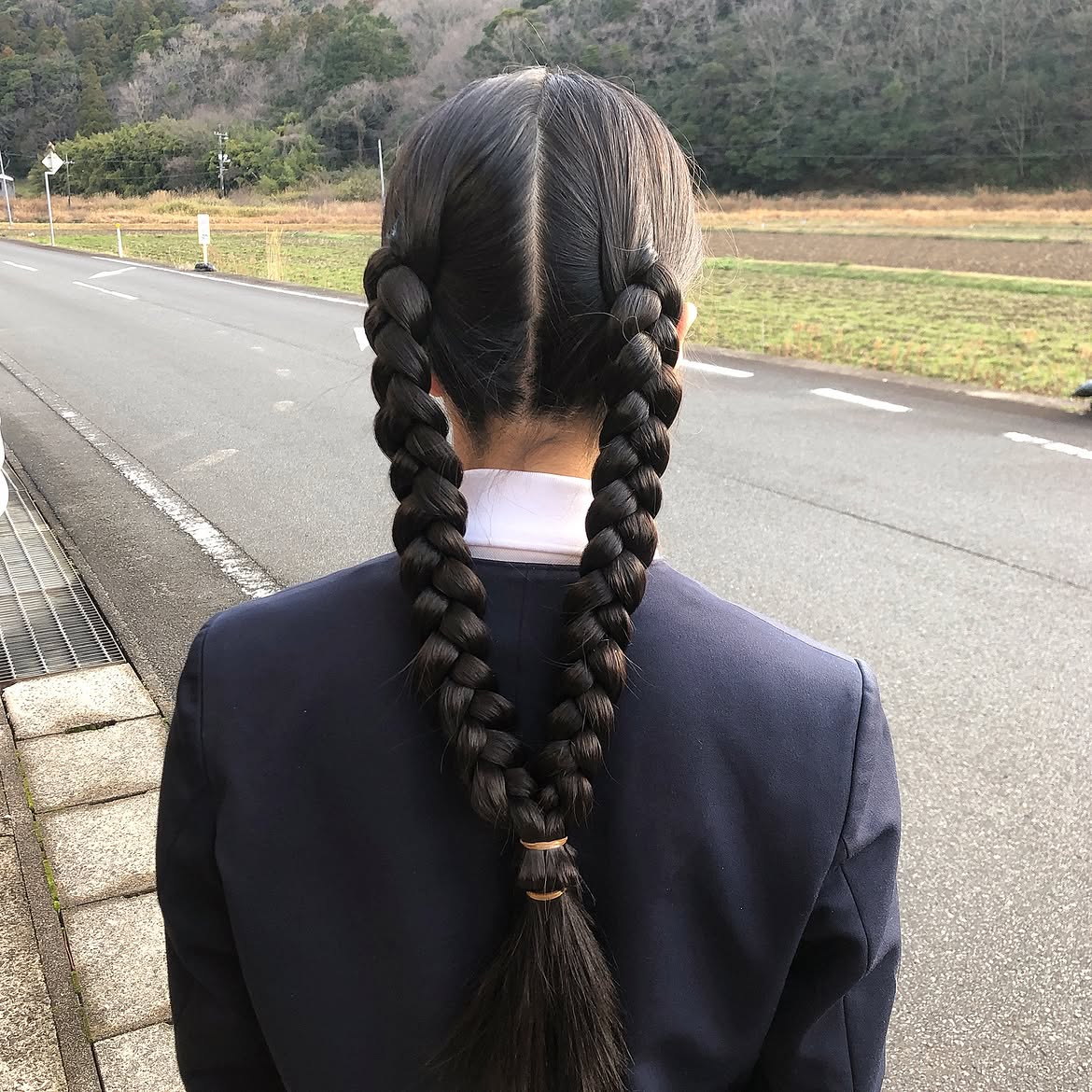 Classic Neat Dutch Braids For Long Hair