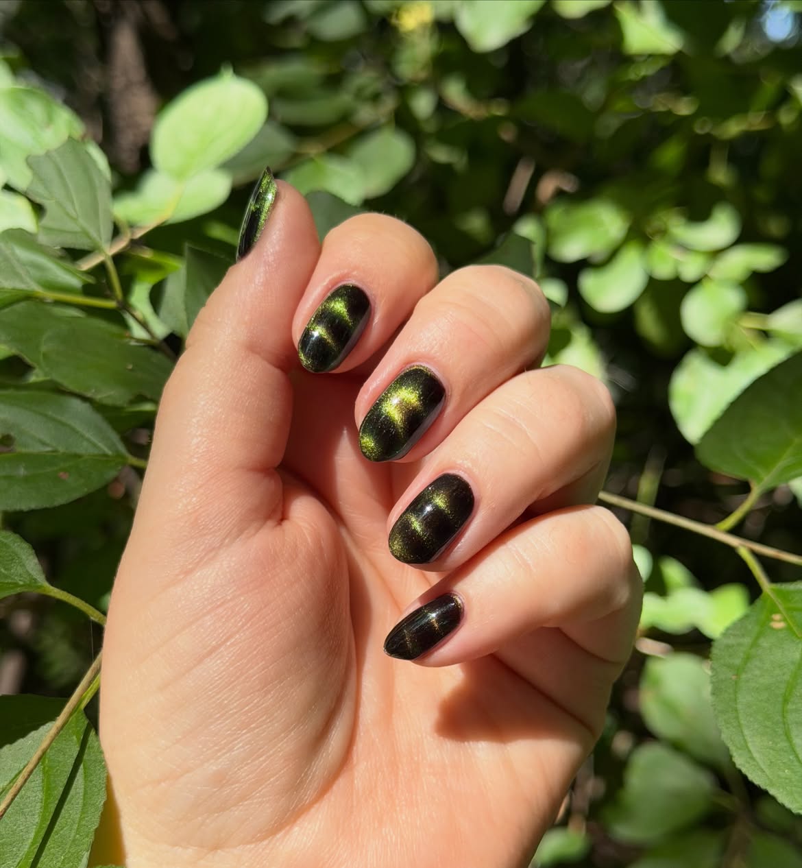 Emerald Green Magnetic Cat Eye Oval Nails