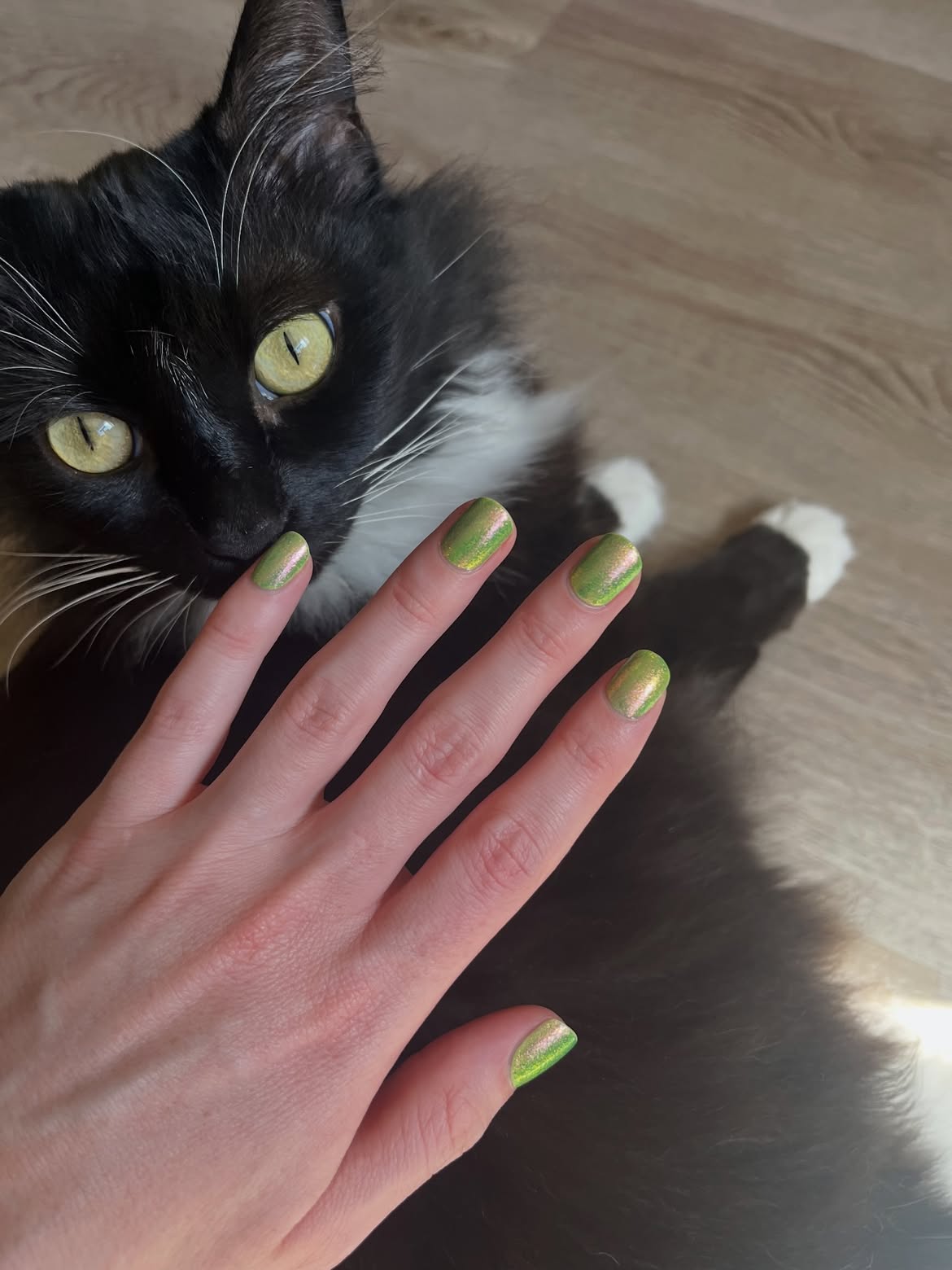 Shimmering Lime Green Iridescent Square Nails