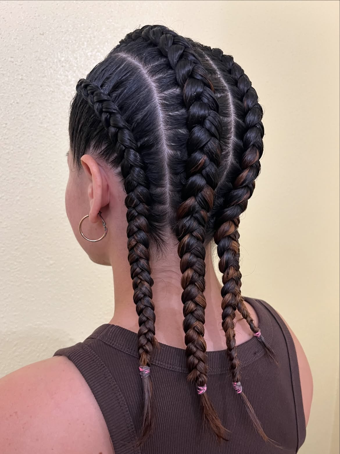 Sleek Dutch Braids With Subtle Auburn Highlights