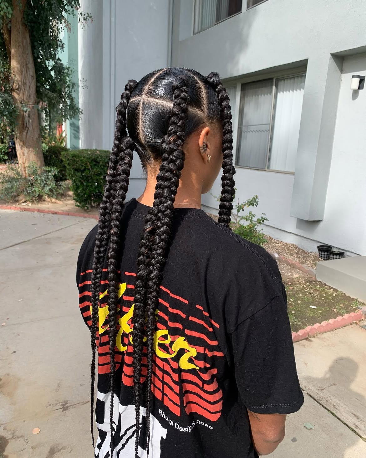 Sleek Pigtail Braids With Sharp Partings