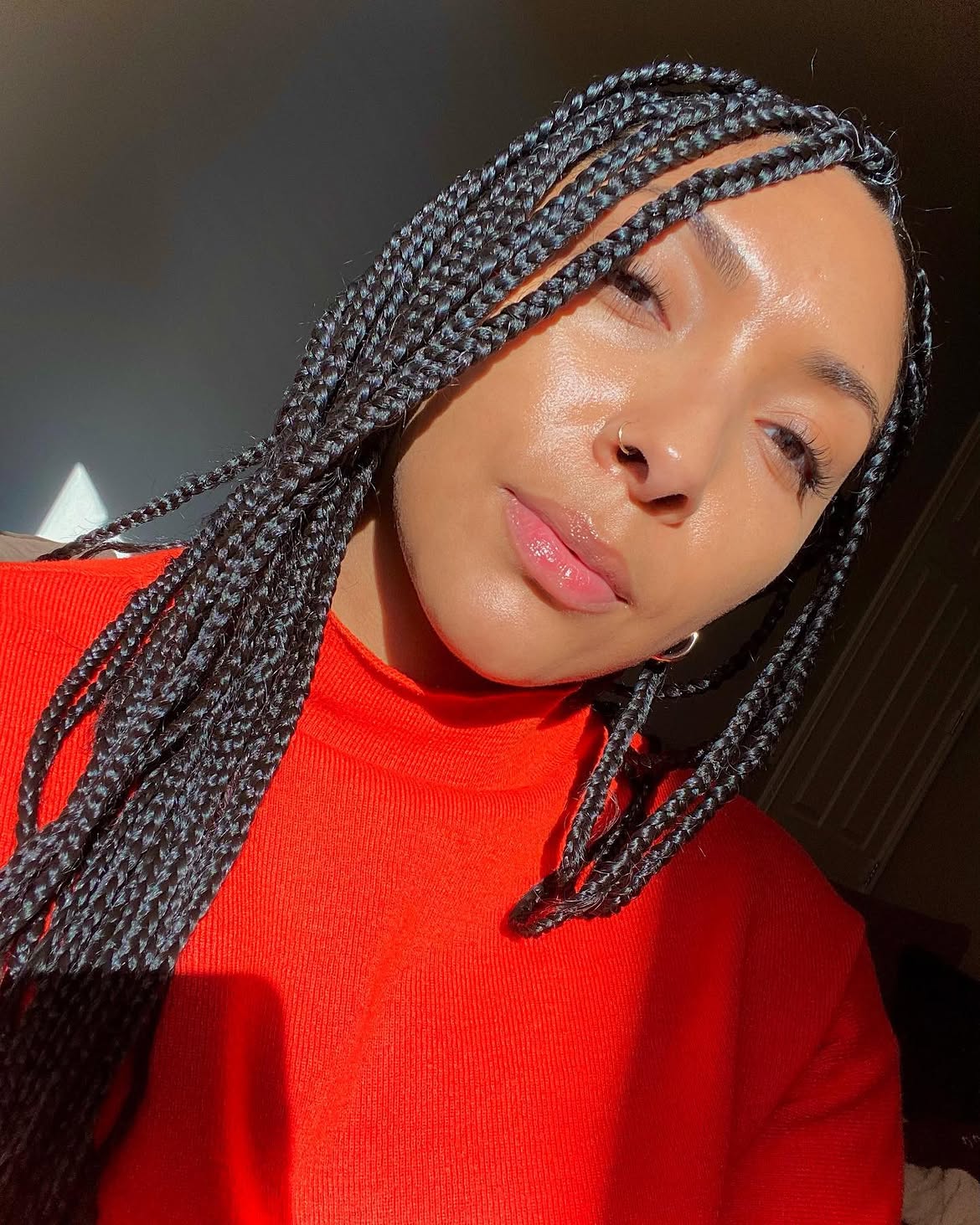 Sleek Waist Length Box Braids For Winter