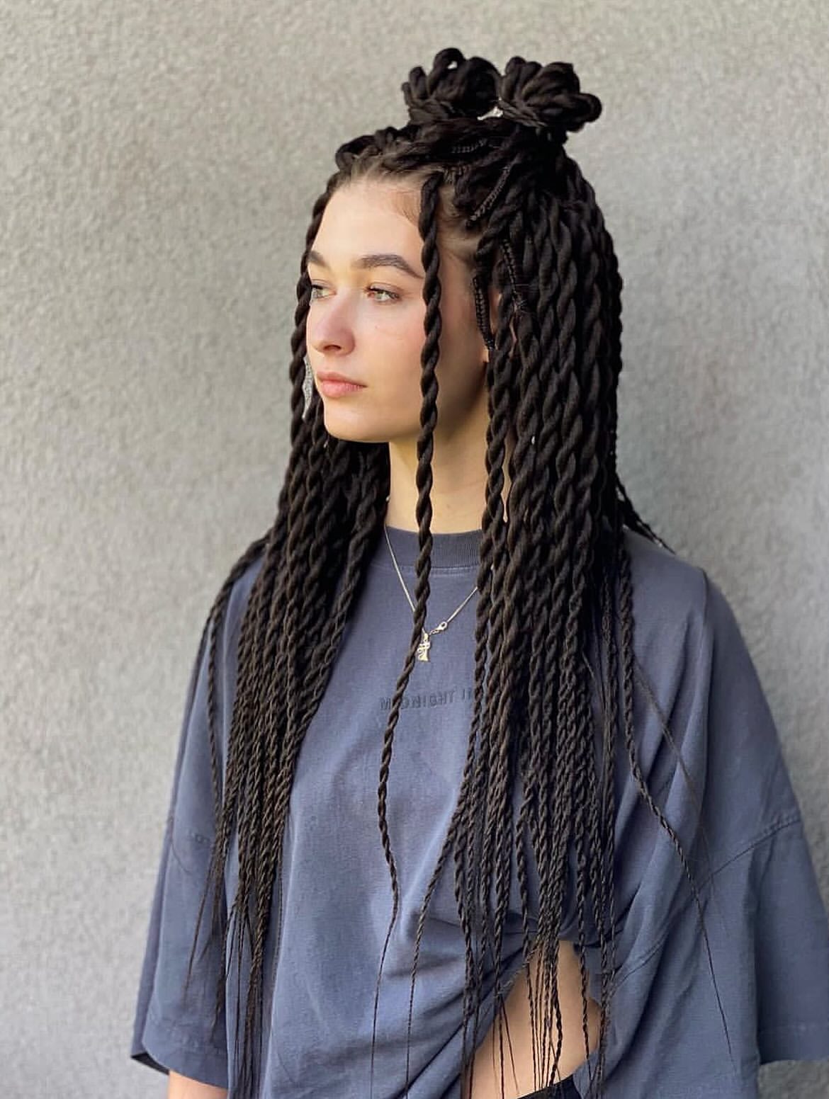 Twisted Space Buns With Long Box Braids