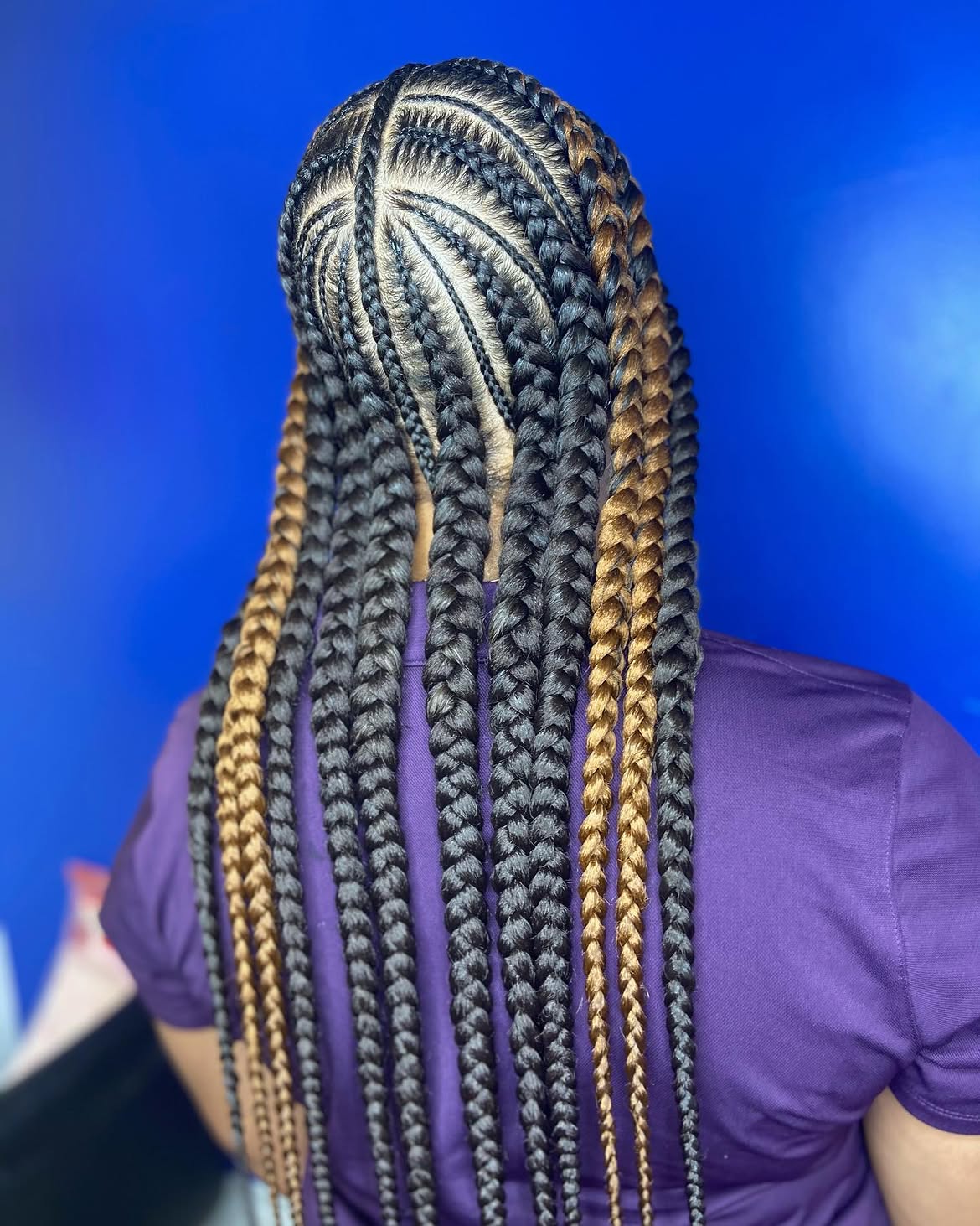 Two-Tone Pop Smoke Braids With Honey Blonde Highlights