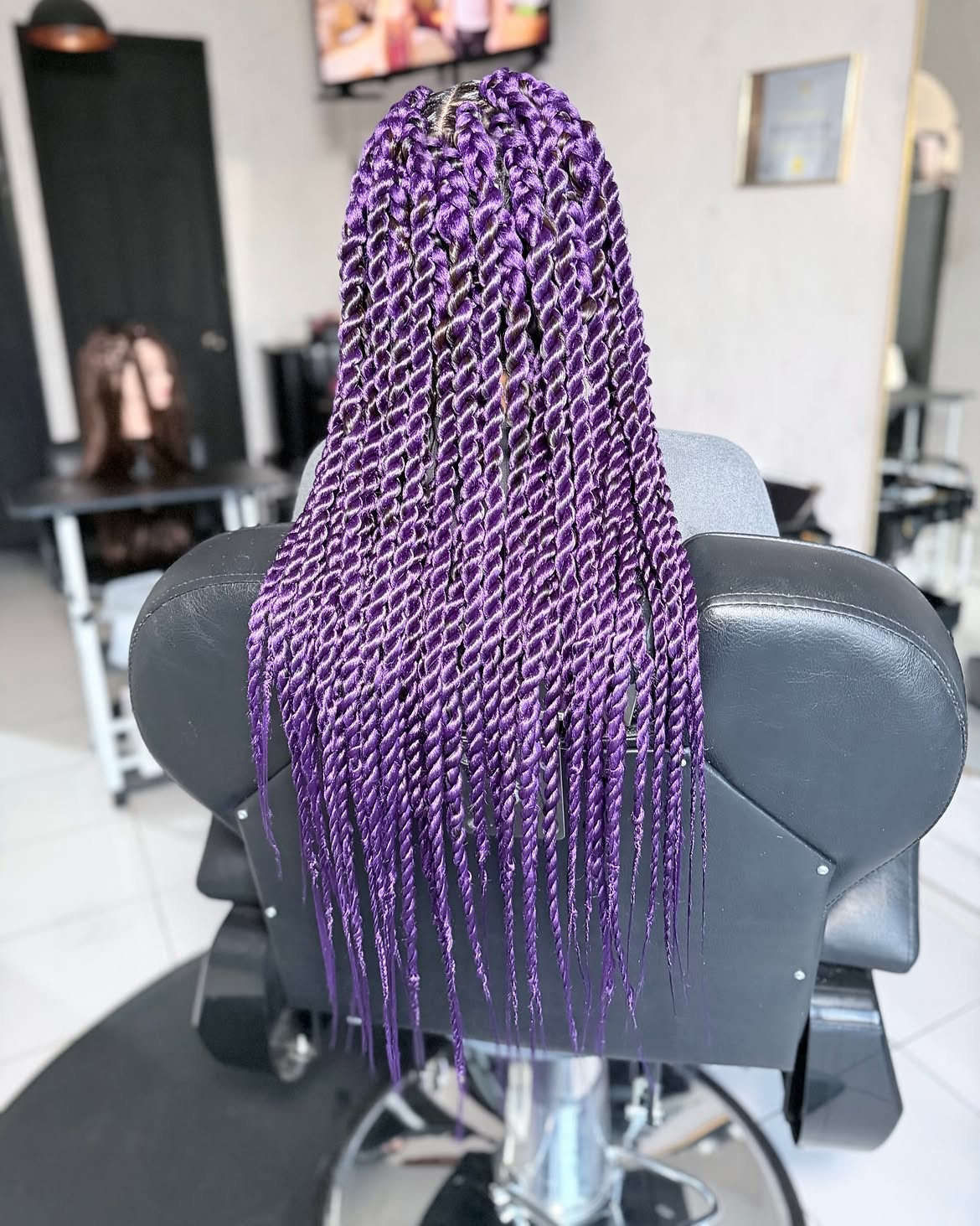 Vibrant Purple Mid-Back Twist Braids