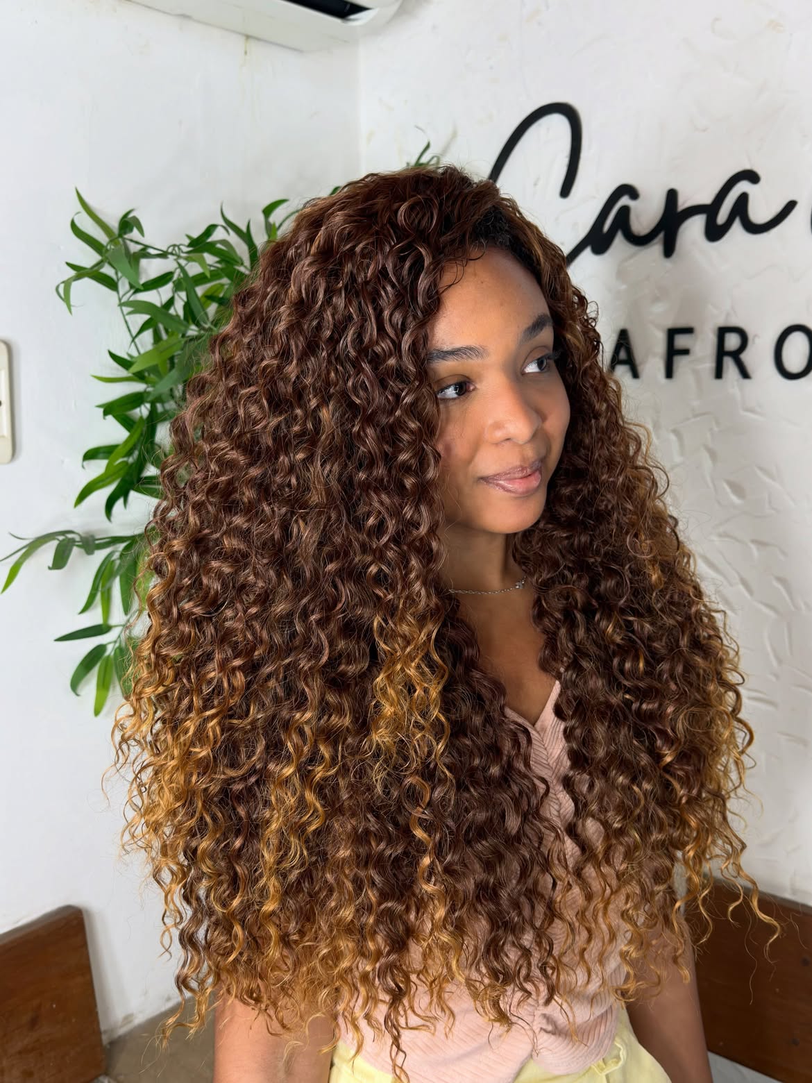 Voluminous Deep Brown Curls With Honey Blonde Highlights