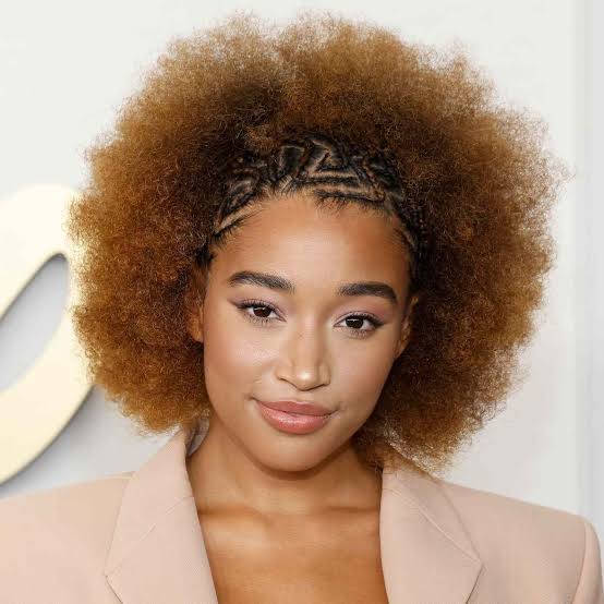 Mid-Back Afro With Blonde Highlighted Braids — 4b Hairstyles